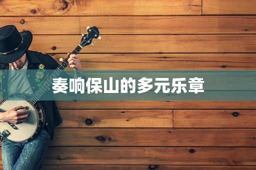奏响保山的多元乐章