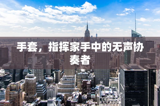 手套，指挥家手中的无声协奏者
