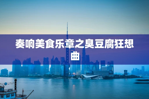 奏响美食乐章之臭豆腐狂想曲
