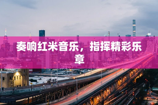 奏响红米音乐，指挥精彩乐章