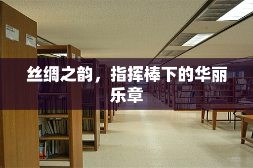 丝绸之韵，指挥棒下的华丽乐章