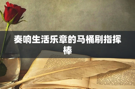 奏响生活乐章的马桶刷指挥棒