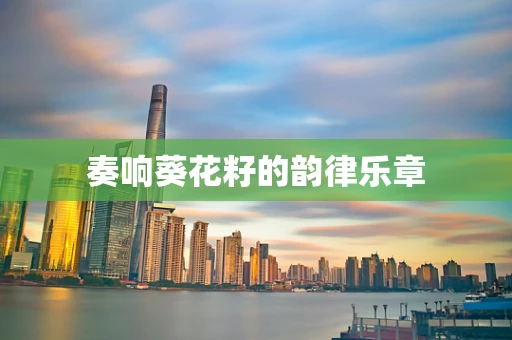 奏响葵花籽的韵律乐章