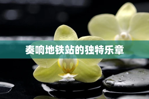 奏响地铁站的独特乐章