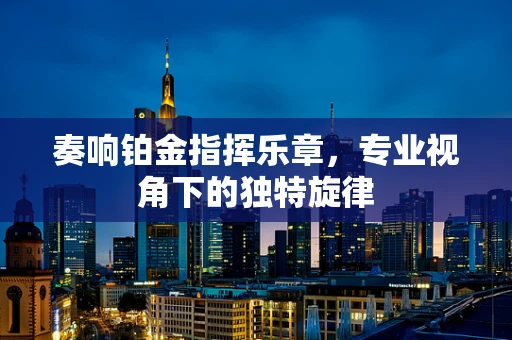 奏响铂金指挥乐章，专业视角下的独特旋律