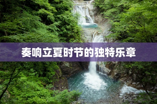 奏响立夏时节的独特乐章