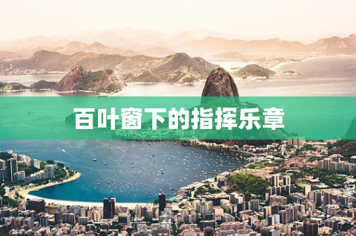 百叶窗下的指挥乐章