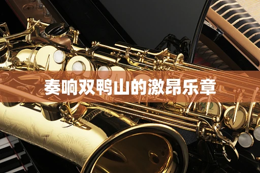 奏响双鸭山的激昂乐章