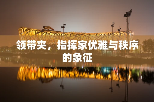 领带夹，指挥家优雅与秩序的象征
