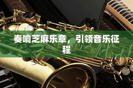 奏响芝麻乐章，引领音乐征程