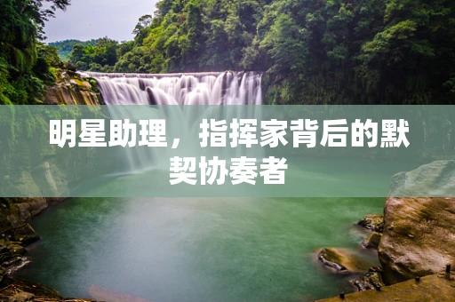 明星助理，指挥家背后的默契协奏者