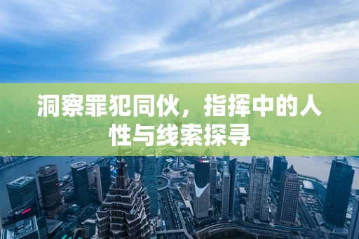 洞察罪犯同伙，指挥中的人性与线索探寻