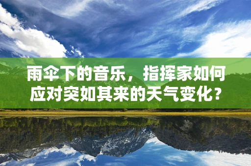 雨伞下的音乐，指挥家如何应对突如其来的天气变化？