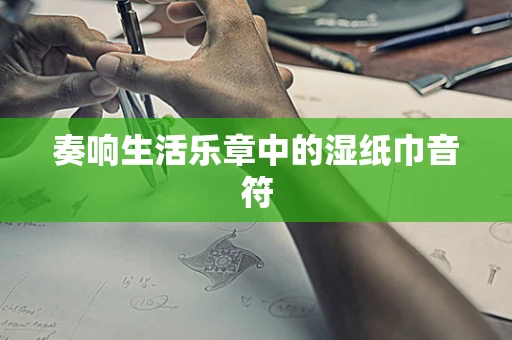 奏响生活乐章中的湿纸巾音符
