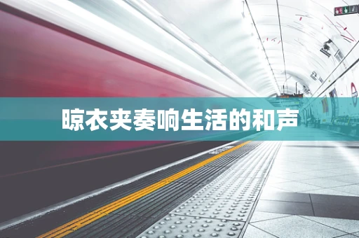 晾衣夹奏响生活的和声