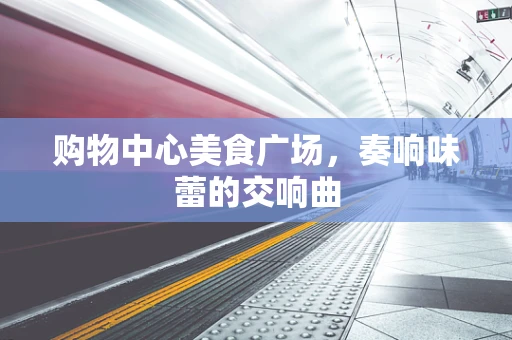 购物中心美食广场，奏响味蕾的交响曲