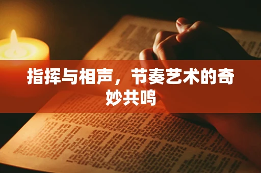 指挥与相声，节奏艺术的奇妙共鸣