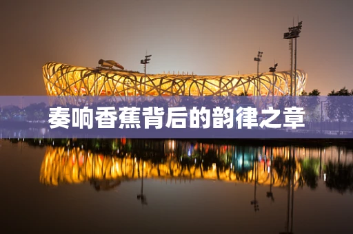 奏响香蕉背后的韵律之章