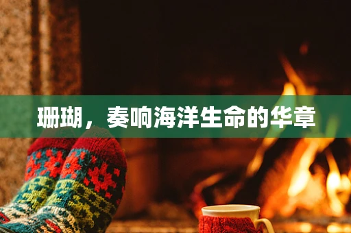 珊瑚，奏响海洋生命的华章