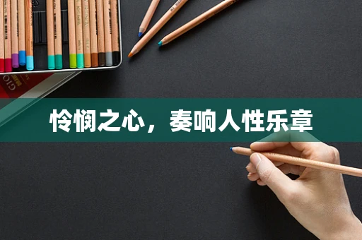 怜悯之心，奏响人性乐章