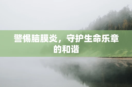 警惕脑膜炎，守护生命乐章的和谐