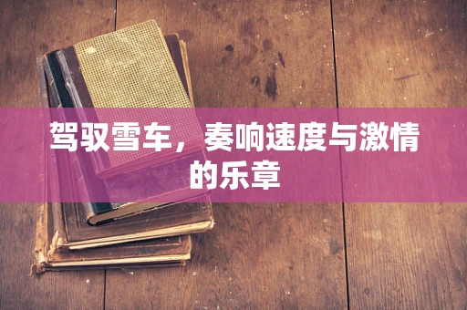 驾驭雪车，奏响速度与激情的乐章