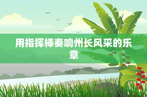 用指挥棒奏响州长风采的乐章