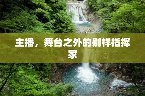 主播，舞台之外的别样指挥家