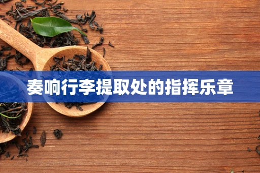 奏响行李提取处的指挥乐章