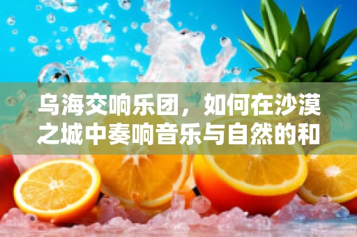 乌海交响乐团，如何在沙漠之城中奏响音乐与自然的和谐乐章？