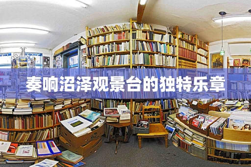 奏响沼泽观景台的独特乐章