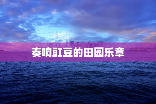 奏响豇豆的田园乐章