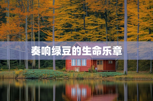 奏响绿豆的生命乐章