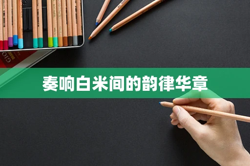 奏响白米间的韵律华章