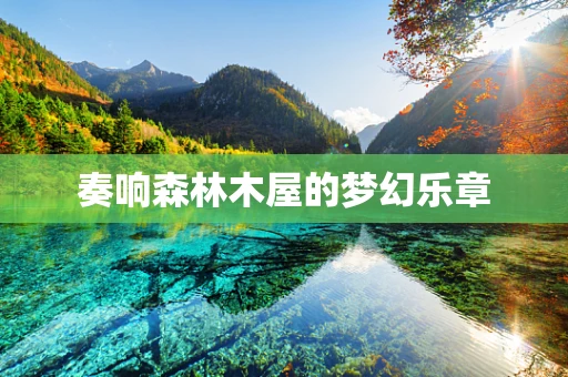 奏响森林木屋的梦幻乐章