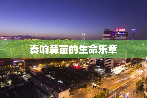 奏响蒜苗的生命乐章