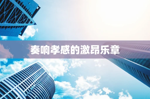 奏响孝感的激昂乐章