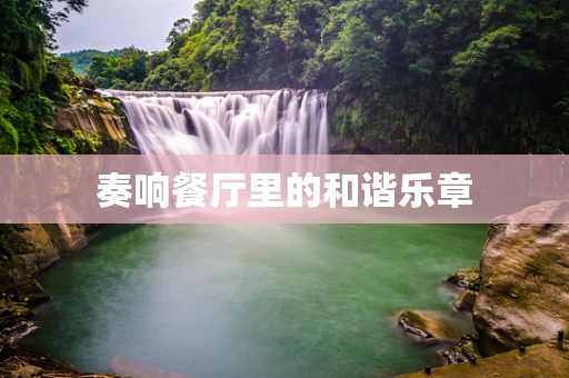 奏响餐厅里的和谐乐章