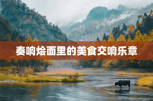 奏响烩面里的美食交响乐章