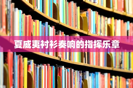 夏威夷衬衫奏响的指挥乐章