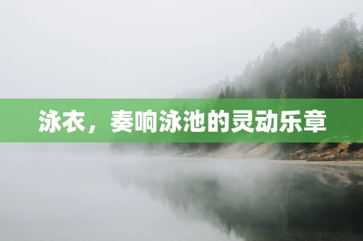 泳衣，奏响泳池的灵动乐章