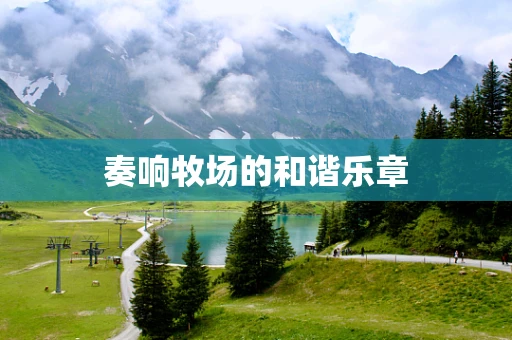 奏响牧场的和谐乐章