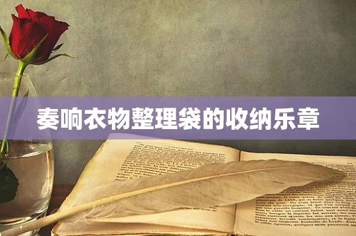 奏响衣物整理袋的收纳乐章