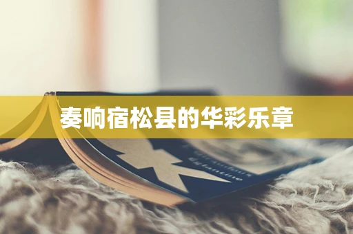 奏响宿松县的华彩乐章