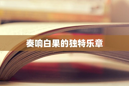 奏响白果的独特乐章