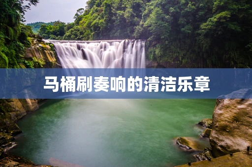 马桶刷奏响的清洁乐章