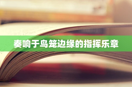 奏响于鸟笼边缘的指挥乐章