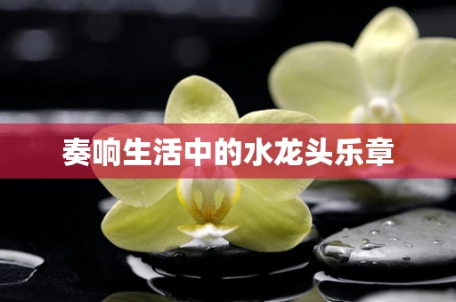奏响生活中的水龙头乐章