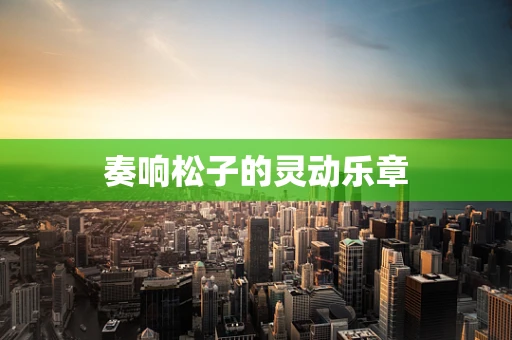奏响松子的灵动乐章