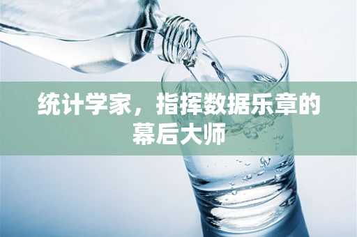 统计学家，指挥数据乐章的幕后大师